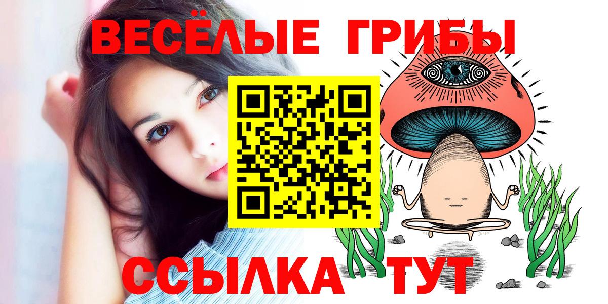Псилоцибиновые грибы Psilocybe  Вход с VPN  Мыски 