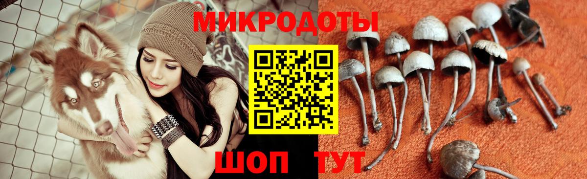 Псилоцибиновые грибы Psilocybine cubensis Мыски